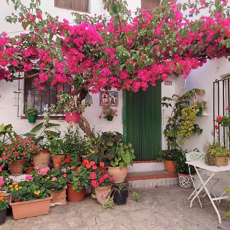 La Buganvilla De Juana Y Antonio Casares Exteriör bild