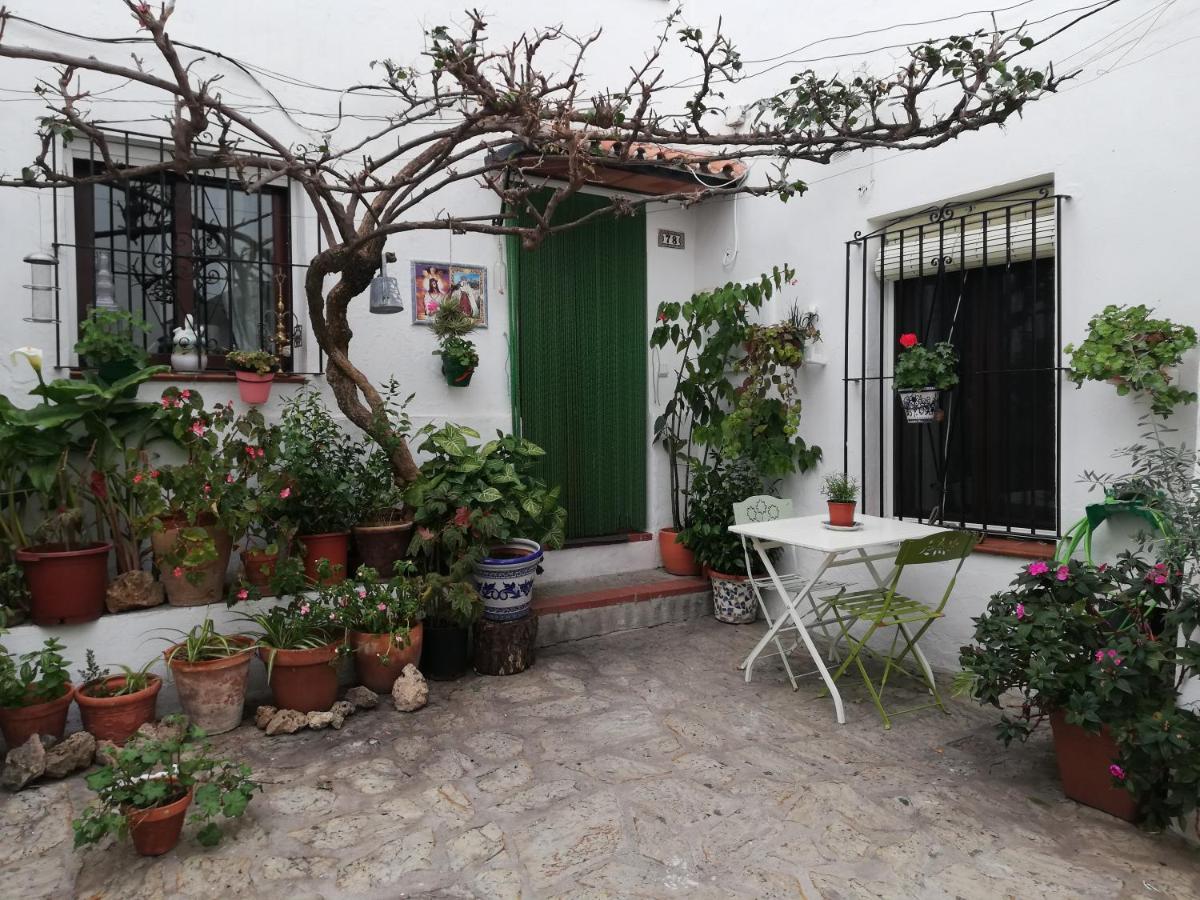 La Buganvilla De Juana Y Antonio Casares Exteriör bild