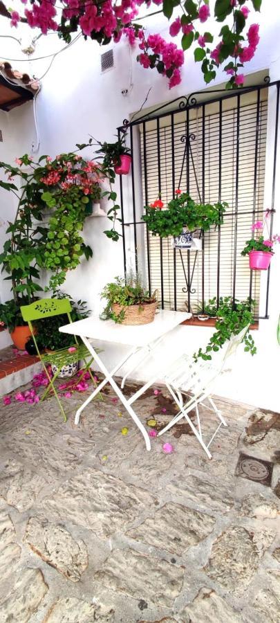 La Buganvilla De Juana Y Antonio Casares Exteriör bild