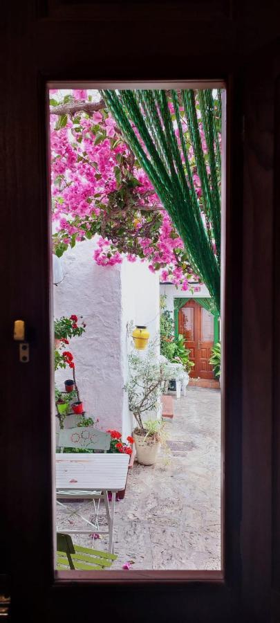 La Buganvilla De Juana Y Antonio Casares Exteriör bild