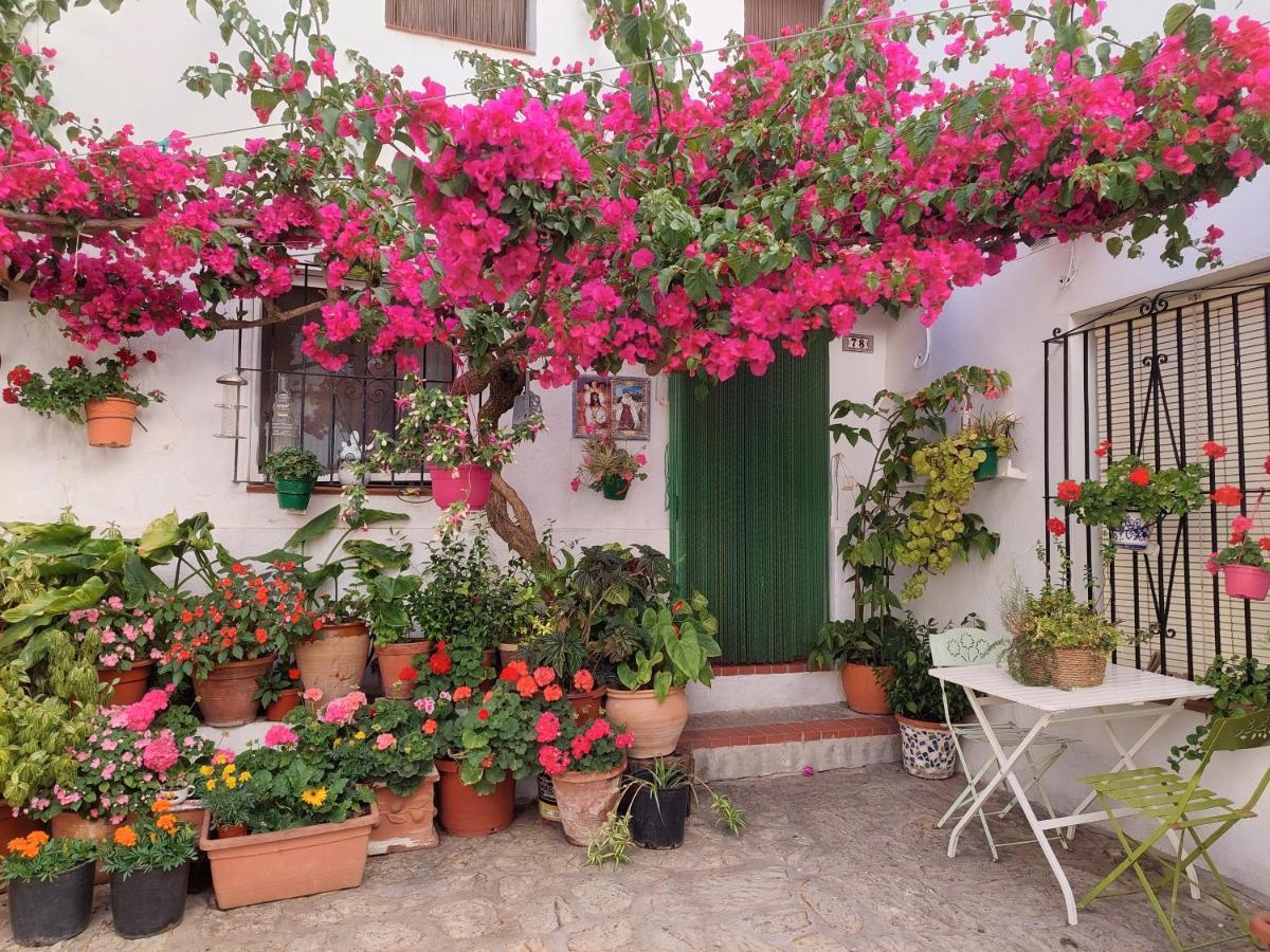 La Buganvilla De Juana Y Antonio Casares Exteriör bild